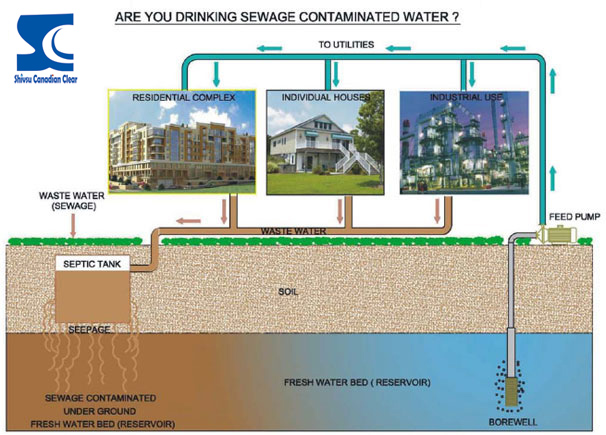 Are you drinking sewage contaminated water?
